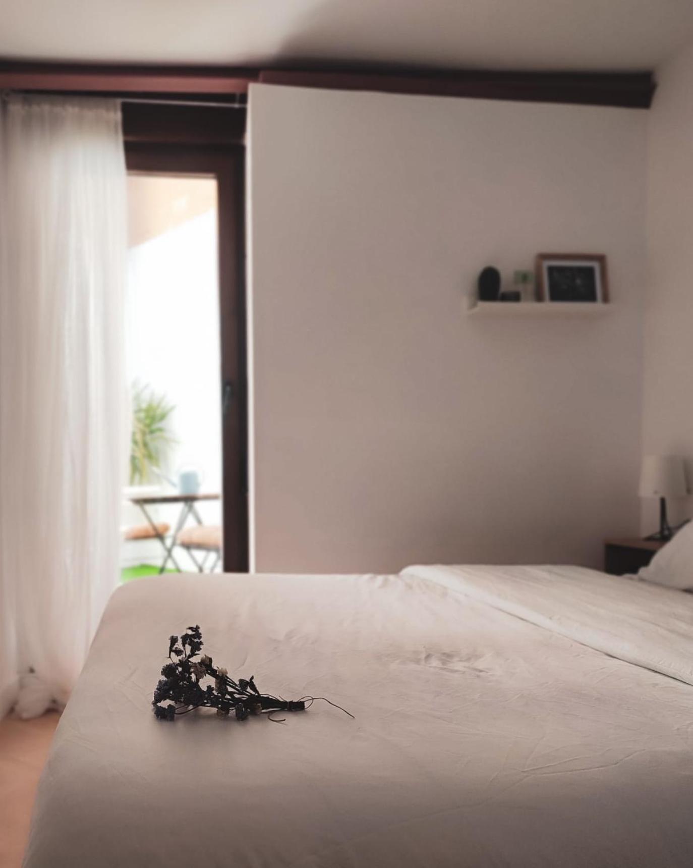 Apartamentos Abadia. Corella Dış mekan fotoğraf